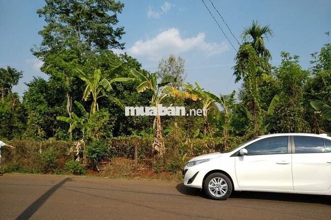 🏡 CHÍNH CHỦ BÁN ĐẤT MẶT TIỀN ĐƯỜNG NHỰA LÊ VĂN TÁM – TX. BÌNH LONG