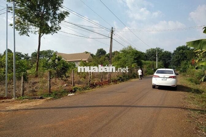 🏡 CHÍNH CHỦ BÁN ĐẤT MẶT TIỀN ĐƯỜNG NHỰA LÊ VĂN TÁM – TX. BÌNH LONG