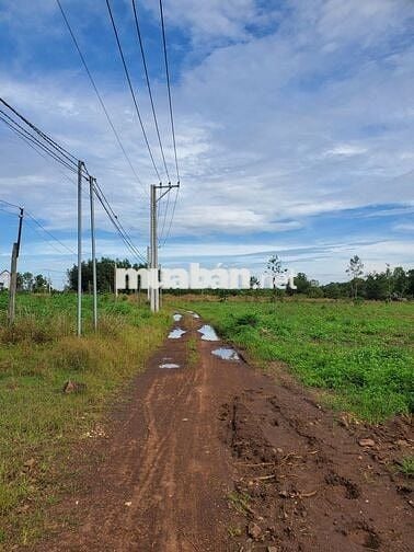 2,85ha đất tại xã Xuân Thành, huyện Xuân Lộc, Đồng Nai