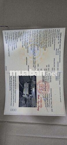 Kia Morning 2015 Vàng 5 chỗ 124453 km
