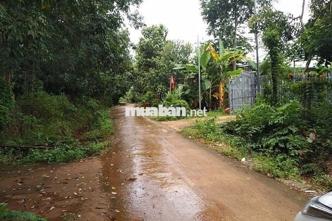 CHÍNH CHỦ BÁN ĐẤT THỔ CƯ TRUNG TÂM P.BÌNH LONG