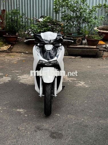 Honda SH 125i ABS 2024 Trắng đen