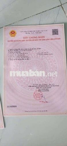 CHÍNH CHỦ BÁN ĐẤT ĐẸP – GIÁ CHỈ 2,8 TỶ 🔥