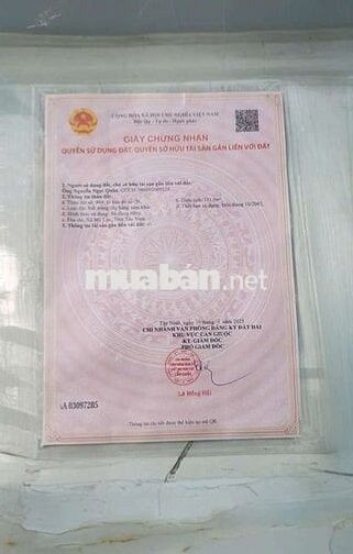 CHÍNH CHỦ BÁN ĐẤT ĐẸP – GIÁ CHỈ 2,8 TỶ 🔥