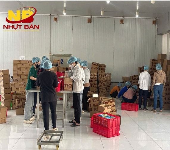 Tuyển 10 nam bốc xếp tự do lương cao