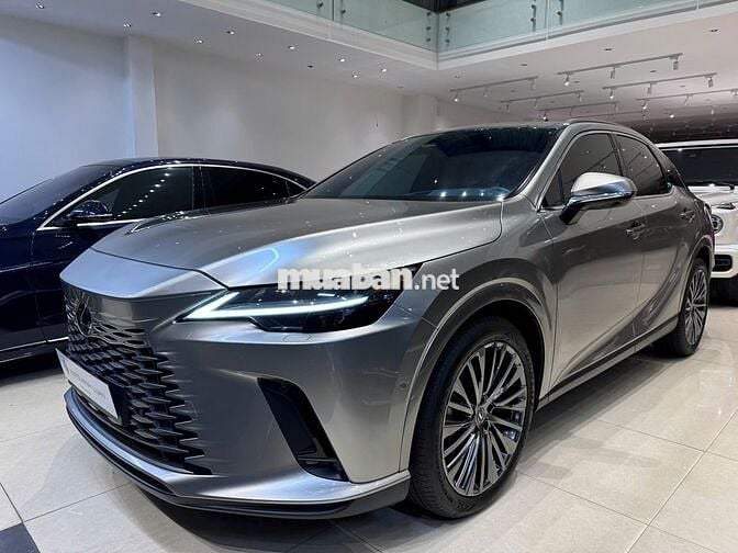 Lexus RX350 Luxury 2024 Vàng xám nhạt 3.900km