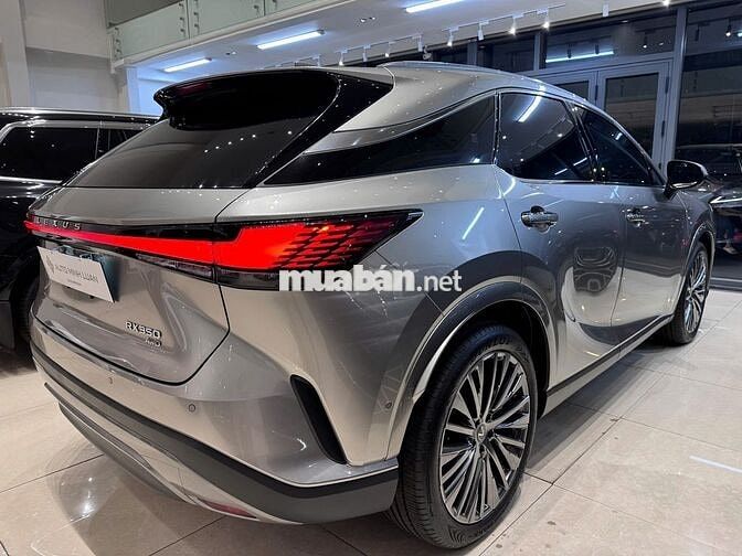 Lexus RX350 Luxury 2024 Vàng xám nhạt 3.900km