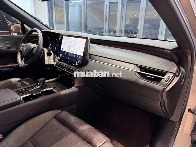 Lexus RX350 Luxury 2024 Vàng xám nhạt 3.900km