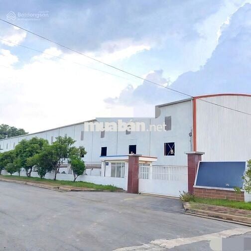 Cho thuê kho xưởng CCN HẢI SƠN khuôn viên 5.000m2 nhà xưởng 3.200m2 