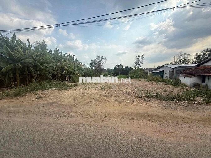 Bán đất mặt tiền Nhựa Đỗ Văn Dậy 16, đường nhựa 8m
