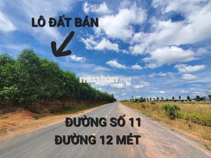 31HA ở cụm KHU CÔNG NGHIỆP Nam Hà, Đức Linh, BÌNH THUẬN cũ