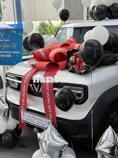 Săn Siêu Ưu Đãi cùng VinFast, Nhận xe chỉ từ 40Tr
