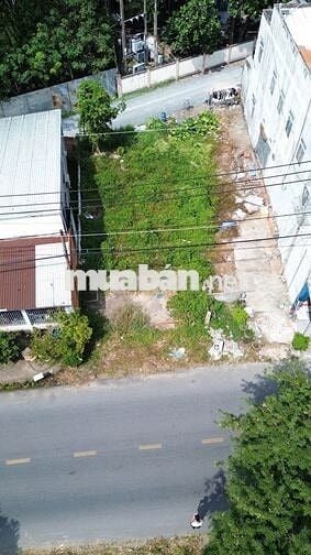 🔥 ĐẤT ĐẸP PHƯỚC VĨNH AN CỦ CHI – NỞ HẬU 8.8M – FULL THỔ CƯ 🔥