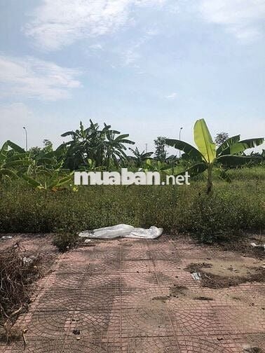 S.iêu phẩm- khu đô thị mới lạc vệ. Tiên du FO 