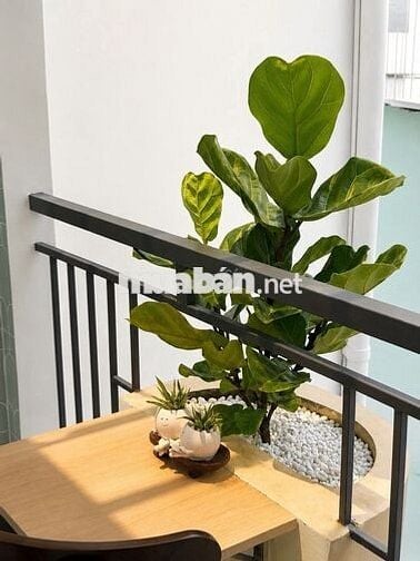 BÁN NHÀ SÁT MẶT TIỀN • LÊ QUANG ĐỊNH - 3 TẦNG • 2PN 3WC • DTSD 41M2