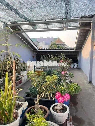 [ Q.8] NGUYỄN THỊ TẦN P.2 – HXH – DT 116m² (4.3m x 27m)💰12.8🧄 – CÁCH M