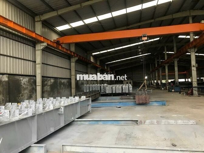 🔥 BÁN XƯỞNG MỸ HẠNH – TÂY NINH | 3.000m² ĐẤT, 2.100m² XƯỞNG 🔥
