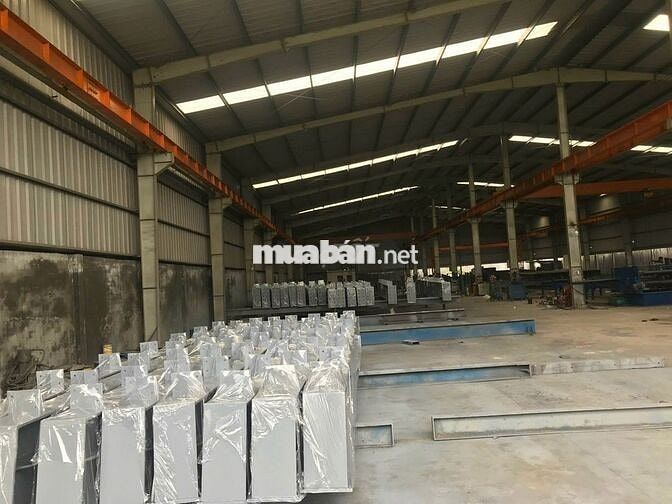 🔥 BÁN XƯỞNG MỸ HẠNH – TÂY NINH | 3.000m² ĐẤT, 2.100m² XƯỞNG 🔥