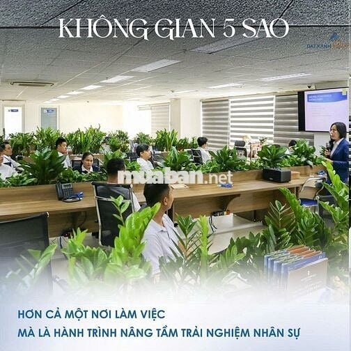 [TUYỂN NHÂN VIÊN KINH DOANH BĐS ĐÀ NẴNG]