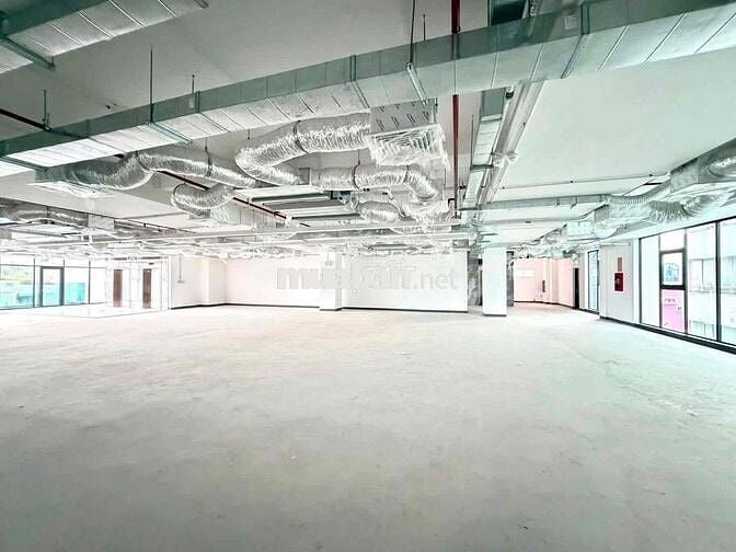 🏢 CHO THUÊ TÒA NHÀ MẶT TIỀN ĐƯỜNG CÁCH MẠNG THÁNG TÁM QUẬN 3