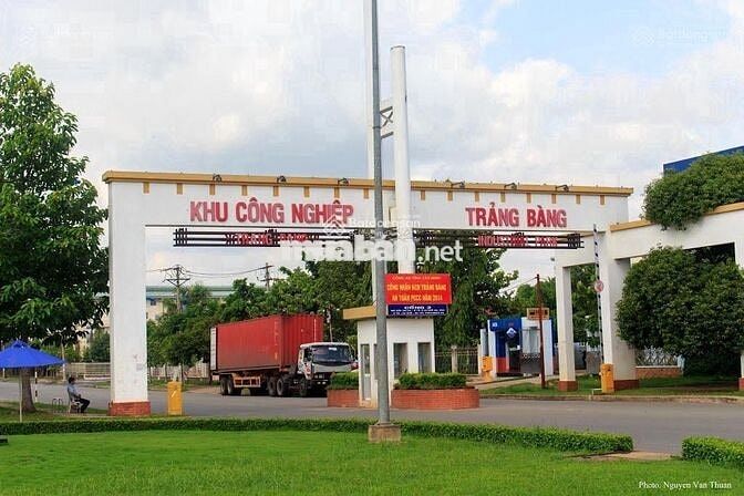Chủ ngộp bán đất 251m2 ngay X.An Tịnh , Trảng Bàng Giá 695 triệu