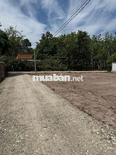 ĐẤT DIỆN TÍCH LỚN ĐANG KIẾM CHỦ ĐẦU TƯ , SỔ HỒNG RIÊNG