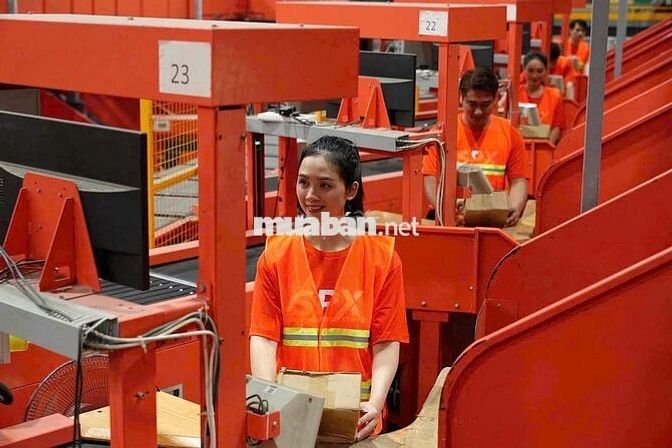 Tuyển 100 nhân viên kho Shopee