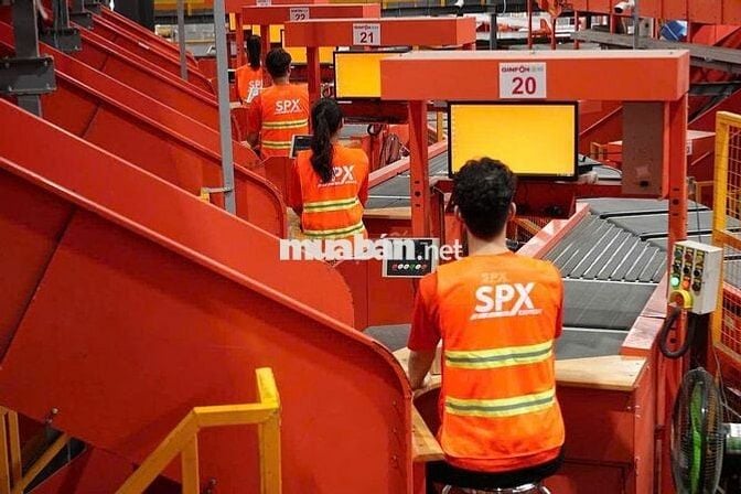 Tuyển 100 nhân viên kho Shopee