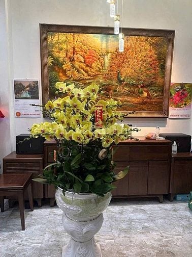 Cho thuê nhà NV02 khu đô thị Rose town 79 Ngọc Hồi, Hoàng Mai, Hà Nội