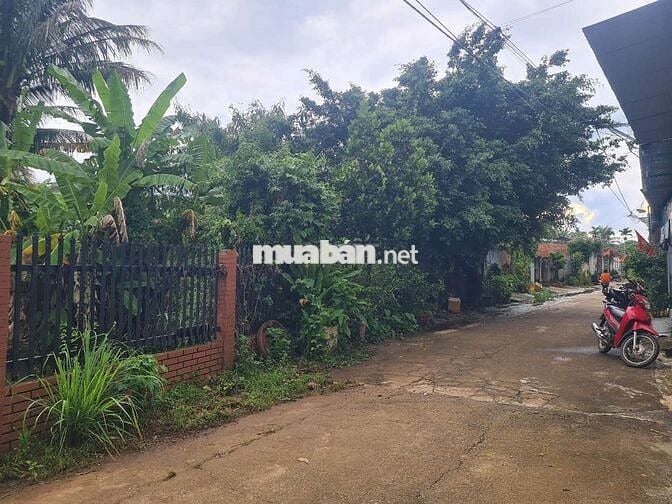 Đất nền xây Biệt thự hẻm 56 Nguyễn Thị Định, phường Thành Nhất