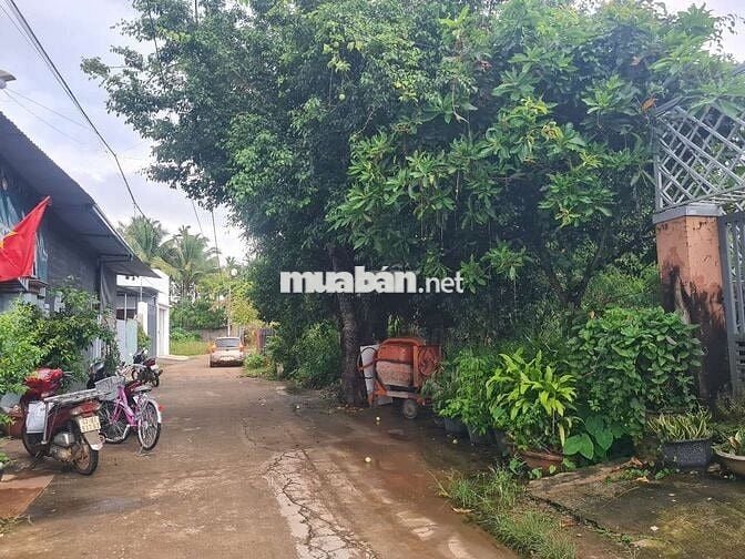 Đất nền xây Biệt thự hẻm 56 Nguyễn Thị Định, phường Thành Nhất