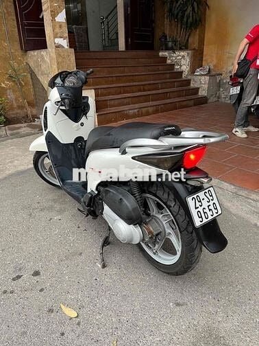Honda SH Trắng
