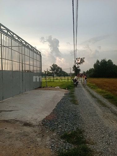 THANH LÝ GẤP ĐẤT ĐẸP THÍCH HỢP LÀM NHÀ VƯỜN , XƯỞNG, NHÀ NGUYỄN CĂN.. 