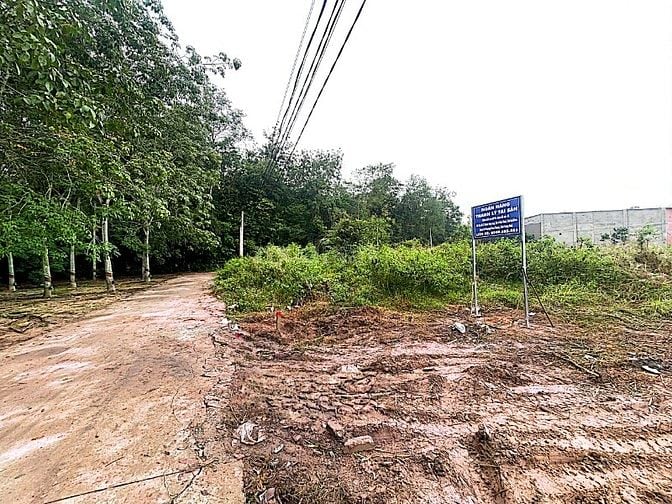 Công ty Đấu giá hợp danh Lam Sơn Sài Gòn thông báo đấu giá tài sản