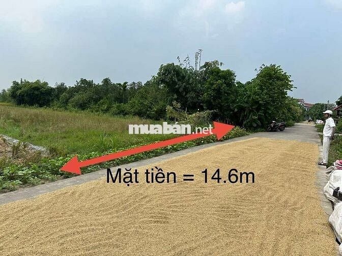BÁN ĐẤT NÔNG NGHIỆP XÃ NỘI BÀI SÓC SƠN .DT 731M GIÁ CHỈ 850TR