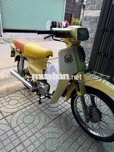 Honda Dream Citi Vàng 50C-8874