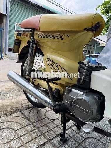 Honda Dream Citi Vàng 50C-8874