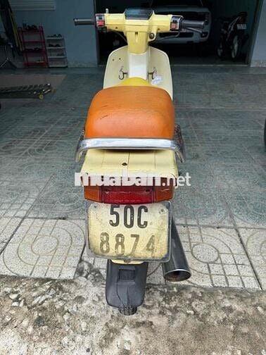 Honda Dream Citi Vàng 50C-8874