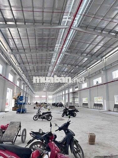 Cho Thuê Kho xưởng Tân Phú Trung Củ Chi