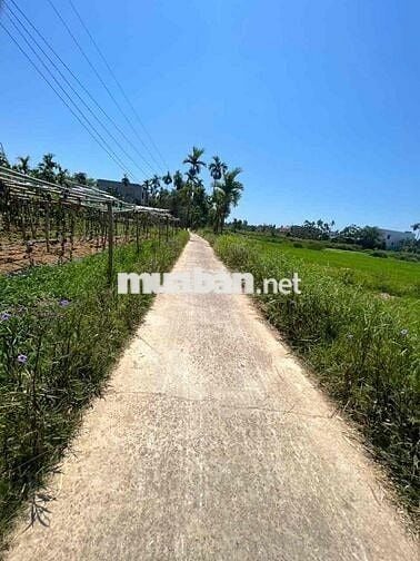 về lô bhk bình triều thăng bình