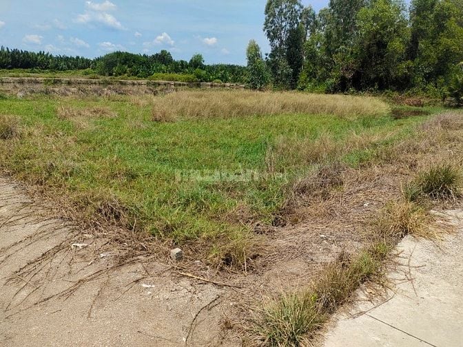[BÁN GẤP CHÍNH CHỦ] Đất MT đường Cá Sức 1100m2 Bình Khánh, Cần Giờ