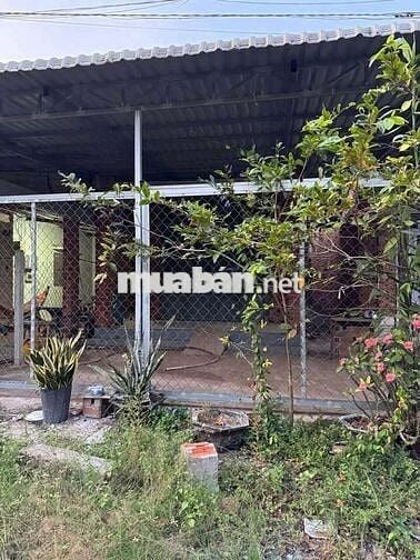 Chính chủ Bán Nhà giá rẻ nhất khu vực 