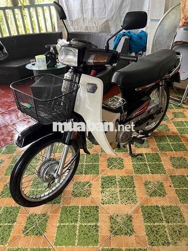 Honda Dream Thái 1999 đẹp mộc zin