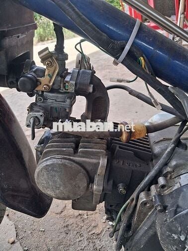 Honda Cub 1992 Xanh Trắng