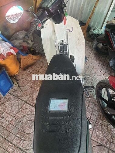 Honda Dream II 50cc Trắng, Đỏ, Đen