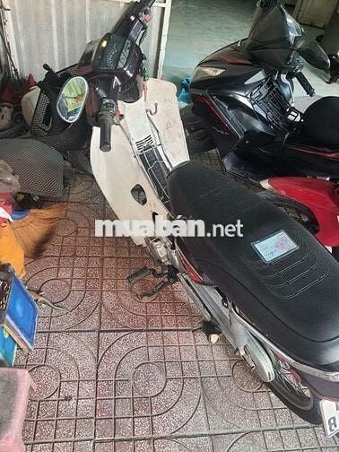 Honda Dream II 50cc Trắng, Đỏ, Đen