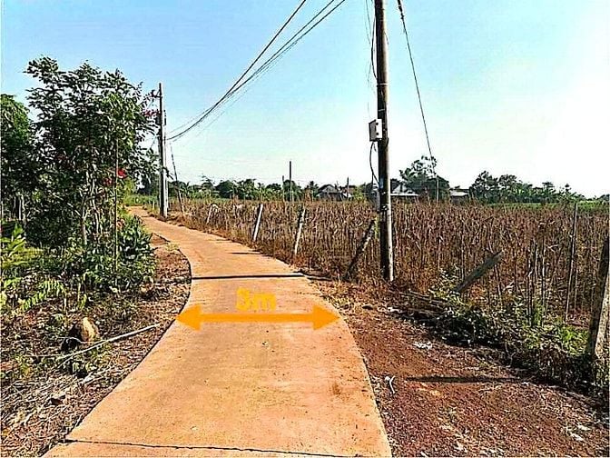 Công ty Đấu giá hợp danh Lam Sơn Sài Gòn thông báo đấu giá tài sản