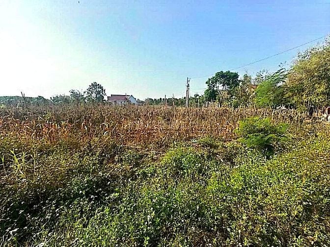 Công ty Đấu giá hợp danh Lam Sơn Sài Gòn thông báo đấu giá tài sản