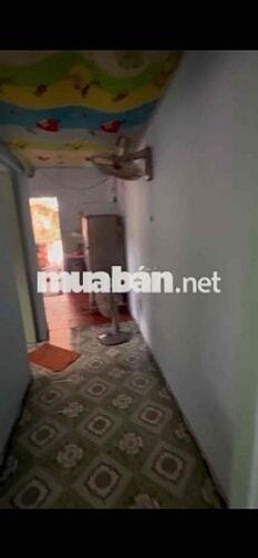 BÁN NHÀ CẤP 4 SHR – AN PHÚ, TP.HCM Diện tích khủng: 204m²