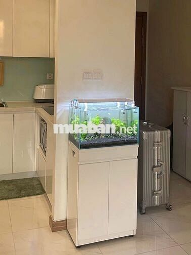 Cho thuê Gấp căn hộ Cộng Hòa Garden, 72m2, 2pn, 2wc, giá chỉ 13tr